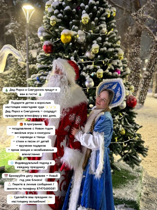 Дед мороз и снегурочка на дом