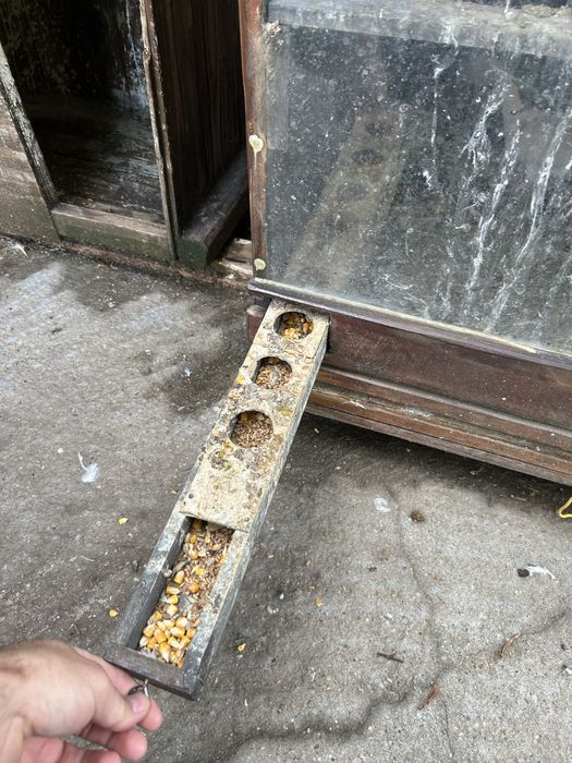 Cusca pentru pasari mici ,exotice