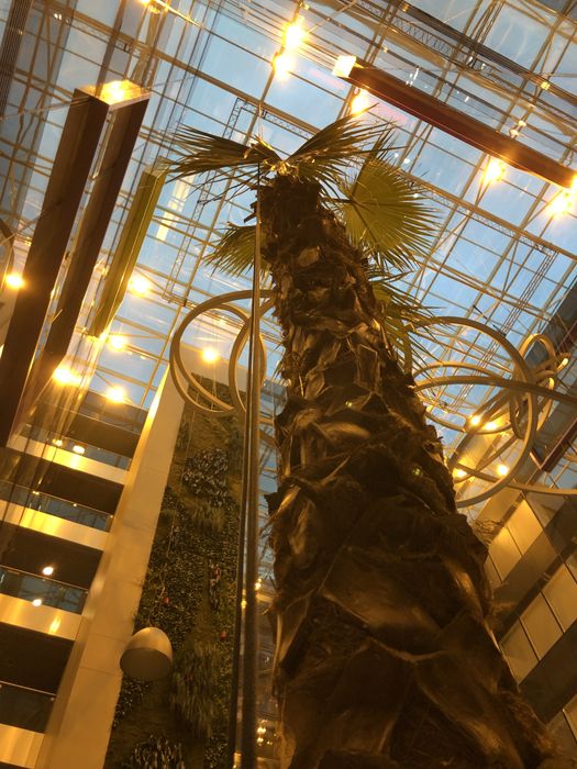 Toaletarea arborilor