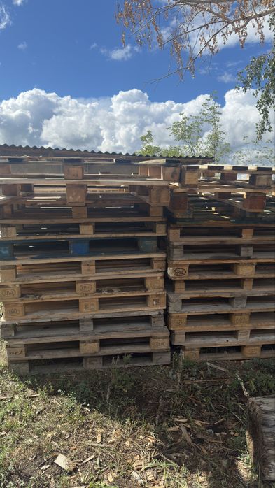 Продам поддоны оптом