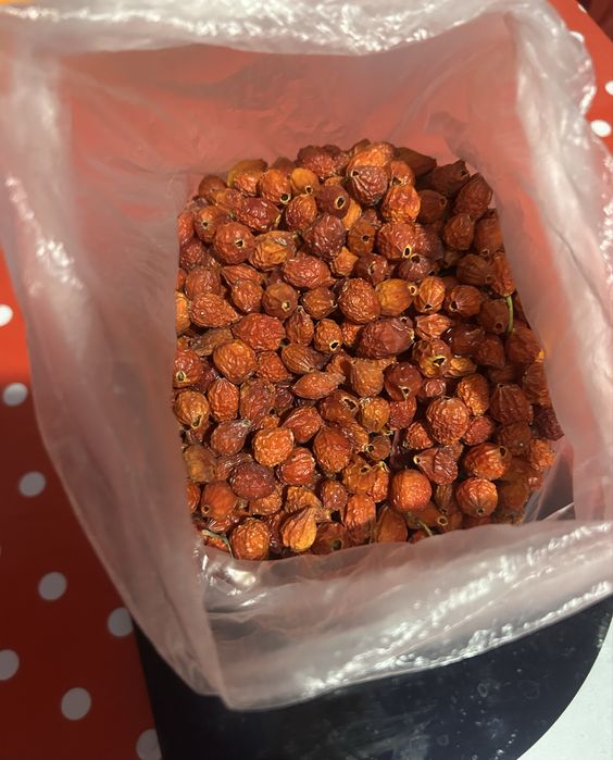 Продам дачный шиповник, боярышник