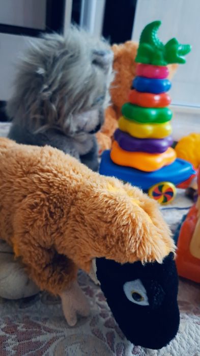 Развивающие игрушки от 0до 2 лет.