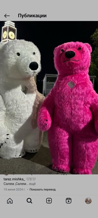 Мишка прадается новый