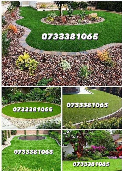 Plante ornamentale tuia,mestecan,ponpon,specialități oriunde in țara