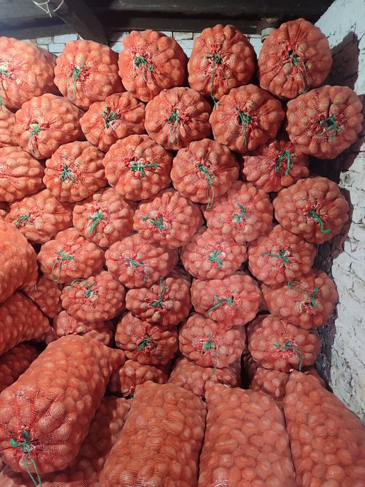 Продам картофель