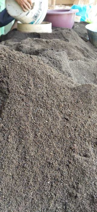 Biyogumis va
chuvalchaglar sotiladi
