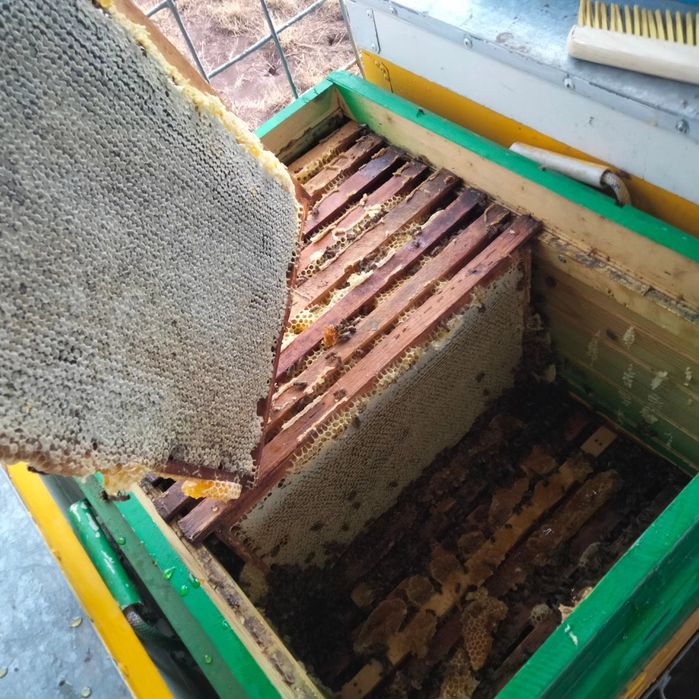 Продам пчелопавильон комплект!