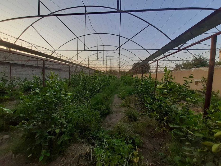 Тайёр ишлаб турган ишлаб чикариш. Бешкентда