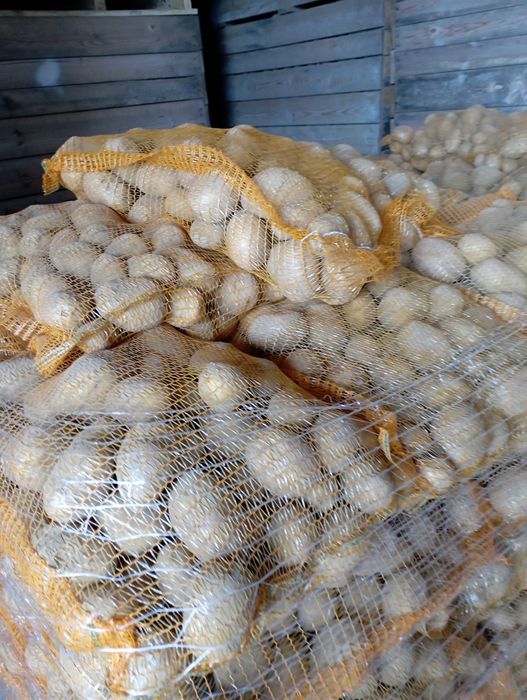 Cartofii extra ...calibru 60 plus.