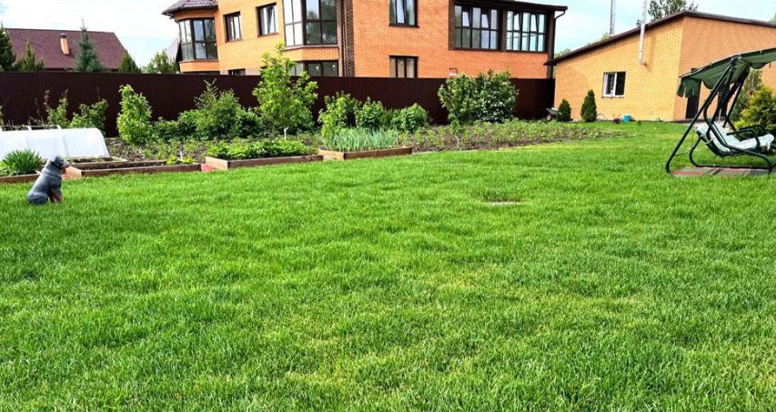 Газон Газон Газон