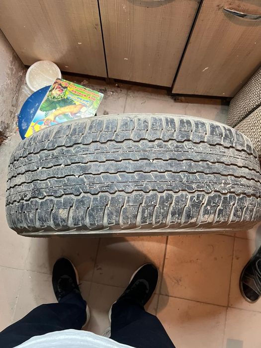 Летние Шины Dunlop