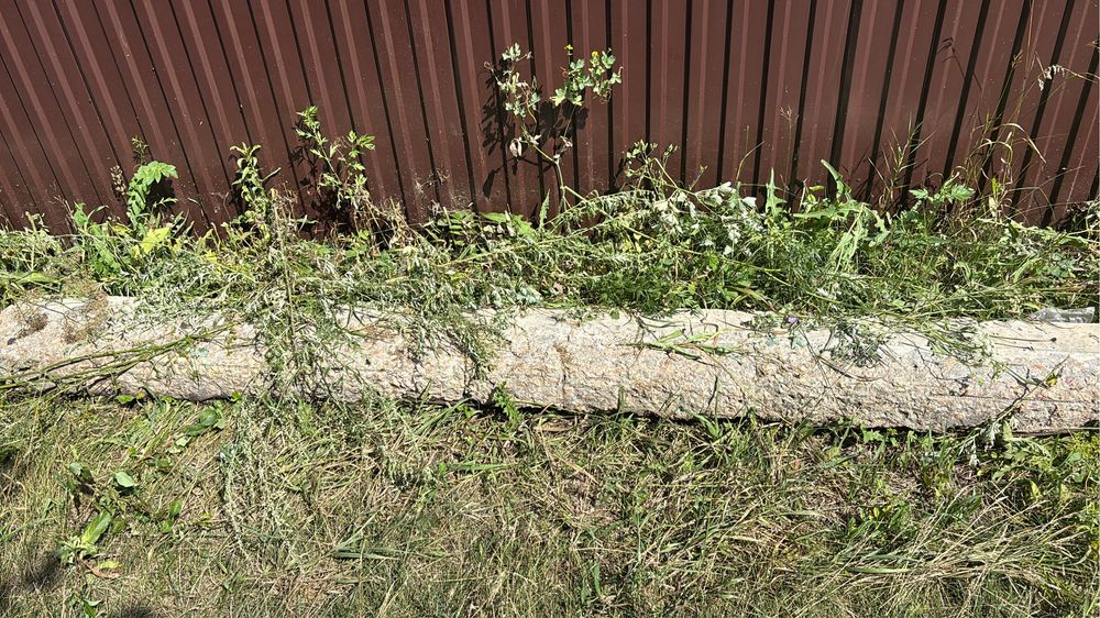 Пасынки в количестве 5 штук