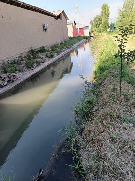 12 сотих хамма шароит бор ер участка сотилади