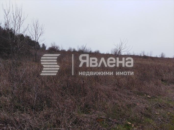 Продава се Земеделски имот в Царево -  кв.м за 31 €/дка - Снимка #1