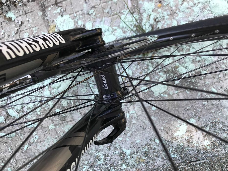 +MTB-XC29rMusing Twenty nine Pinion P1.18 29", 19"+