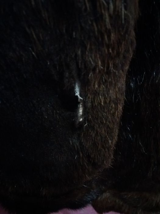 Шуба нутриевая Трапеция