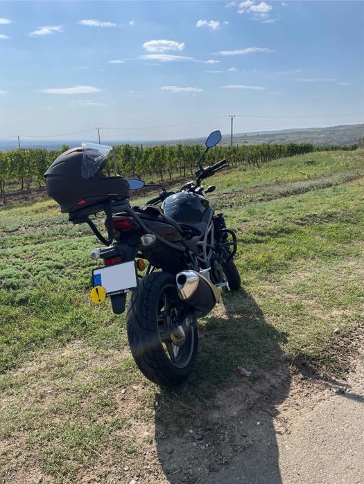 Suzuki SV650 2022