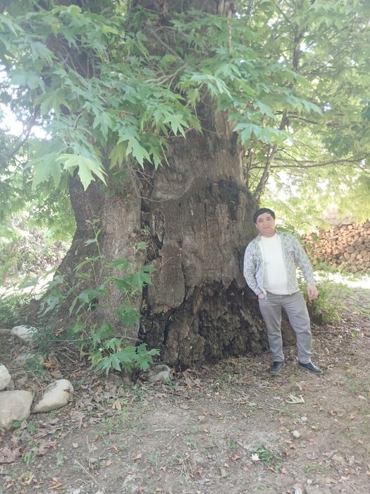 Arenda padval  fitnes zal