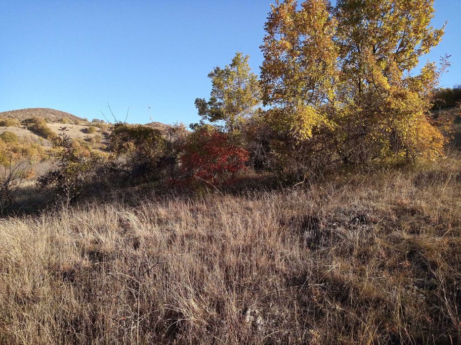 Продава се Парцел в с. Лясково, Област Стара Загора - 6967 кв.м за 5 €/кв.м - Снимка #1