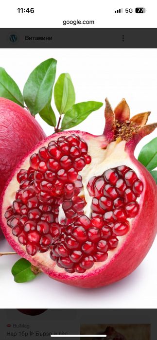 Нар сорт Ундърфул