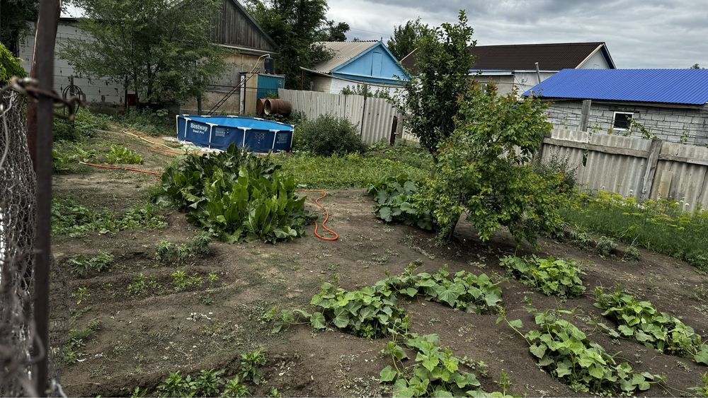 Продам КХ со скотом