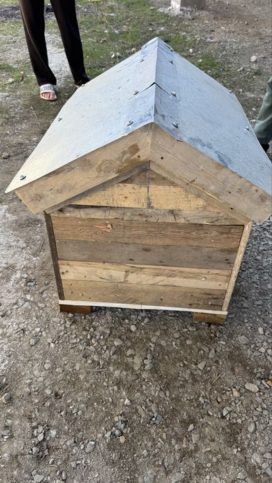 Поодам будку для собаки