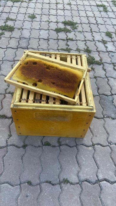 Продам ППУ улья для пчел