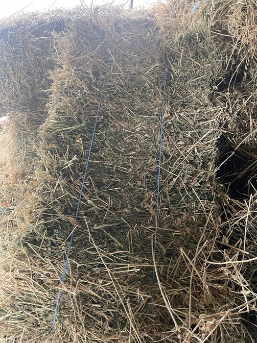 Baloti lucerna calitatea intai