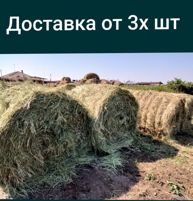 Продам сено в  рулонах