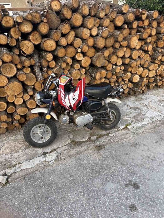 Honda monkey 50cc