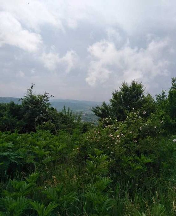 Продава се Къща в Велико Търново, Акация - 125 кв.м за 200 €/кв.м - Снимка #1