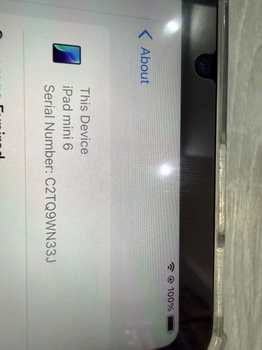 iPad Mini 6 Gri Apple Ca nou cu husă și folie
