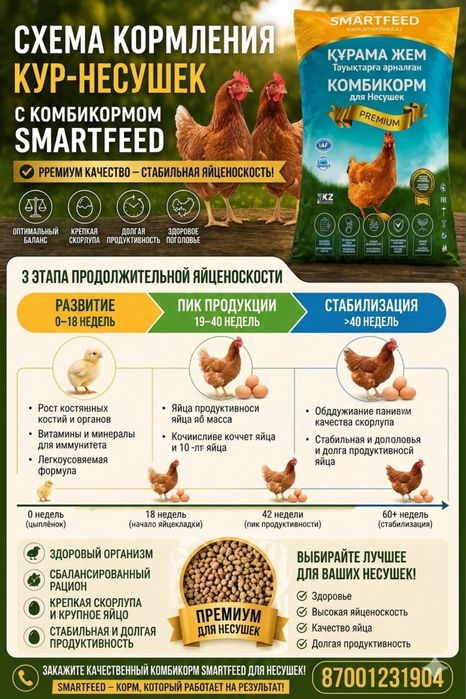 комбикорм для кур несушек