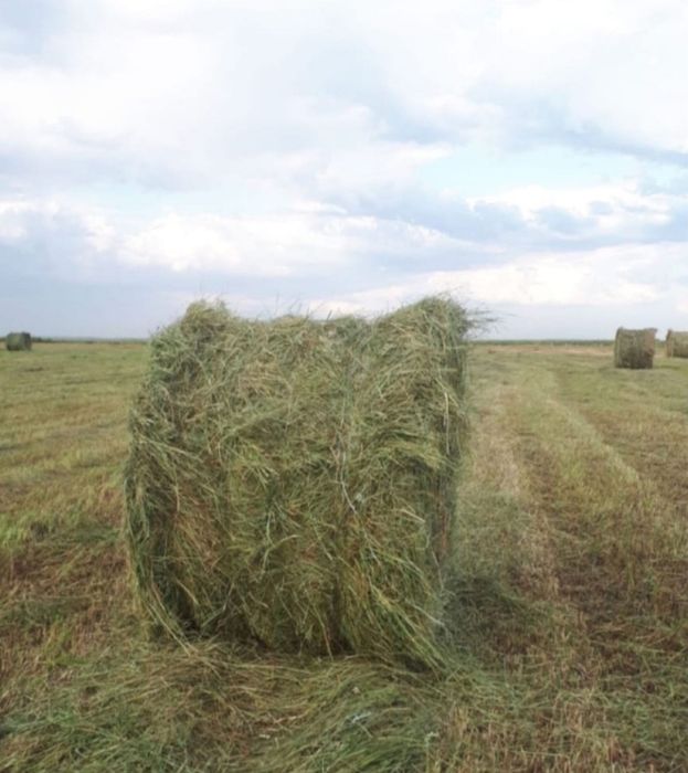 Продам рулон сено луговой