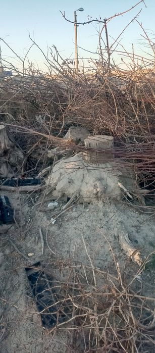 Продается Дрова сухие У́тинлар сотилади