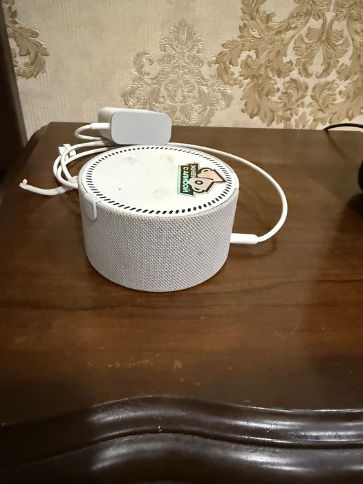 Алиса калонка продается