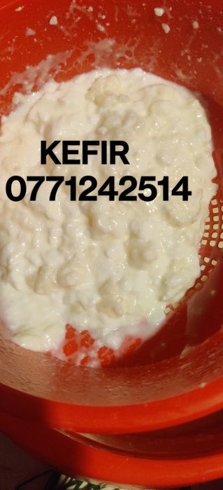 Vând kefir, chefir cultura originala