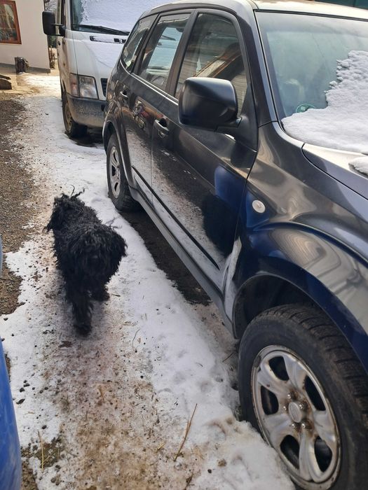 Subaru Forester 2010