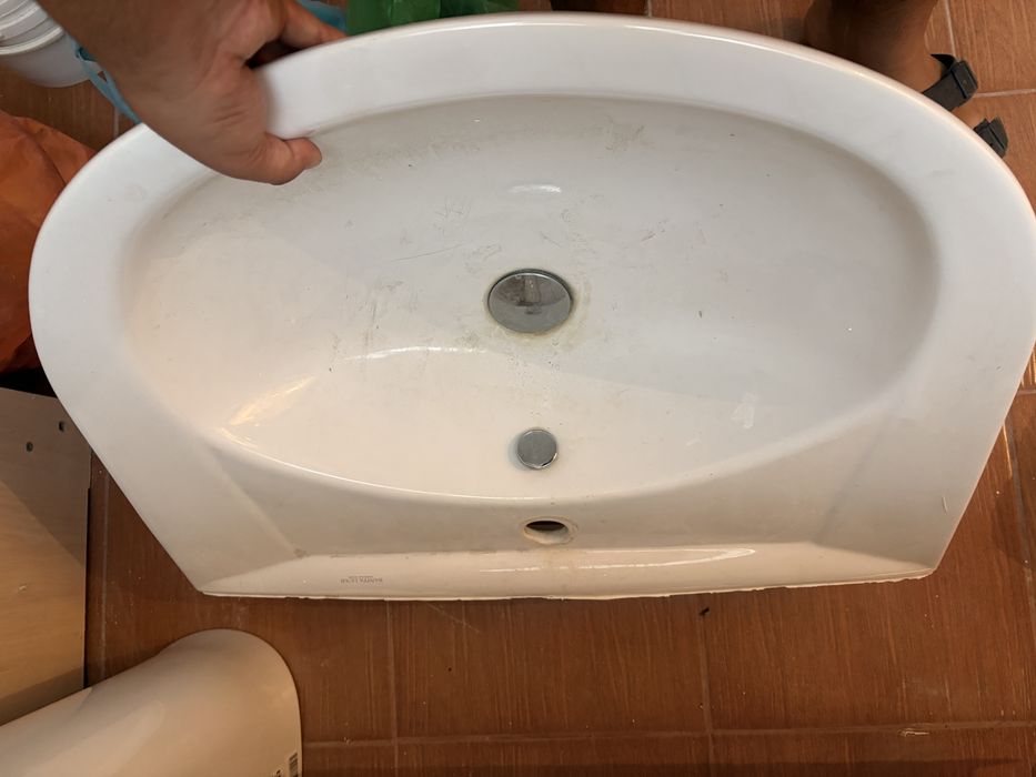 Раковина тюльпан