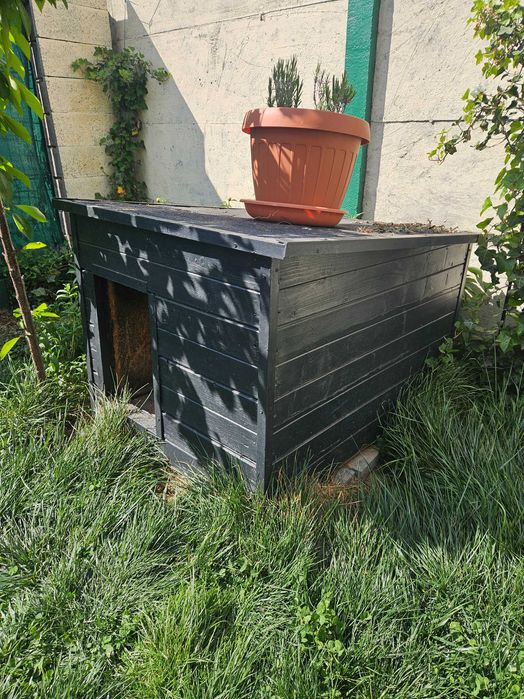 Cușcă mare câine