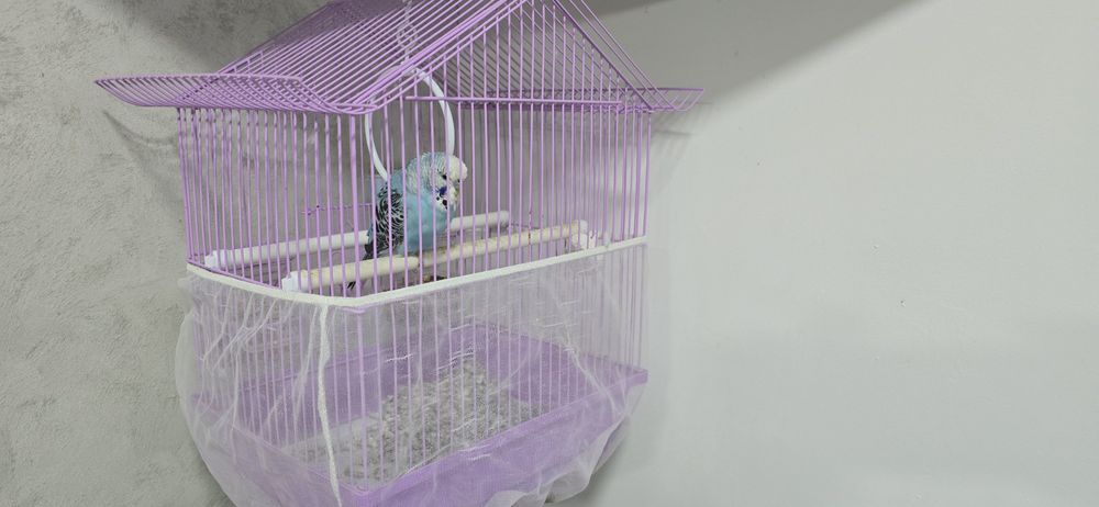 Cușcă/veliera peruși