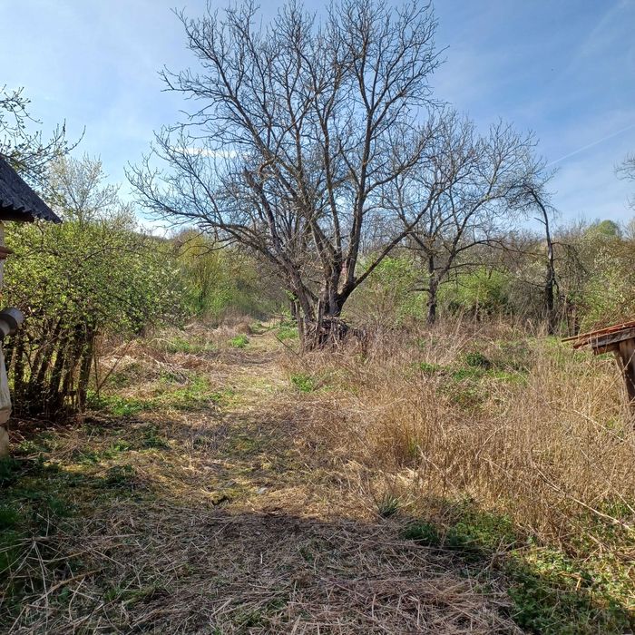 Casă de vânzare în localitatea Julița, comuna Vărădia de Mureș, județul Arad.