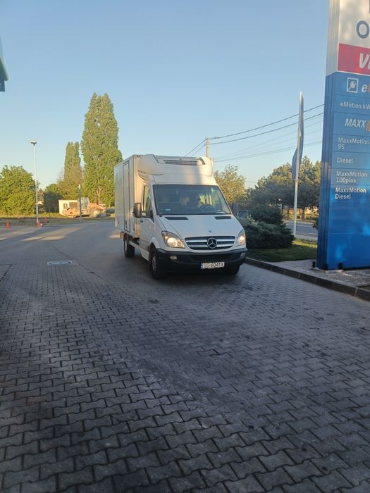 Mecedes 319 frigorific