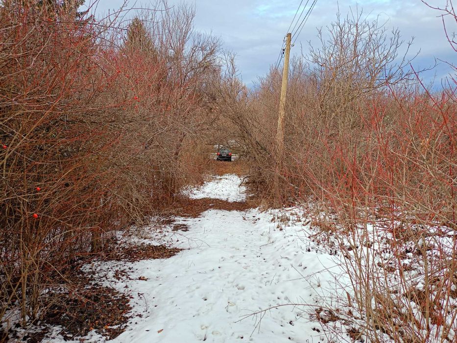 Продава се Парцел в с. Ялботина, Област София-област - 1000 кв.м за 8 €/кв.м - Снимка #22