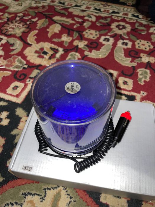 Элена барс рупорти сотилади