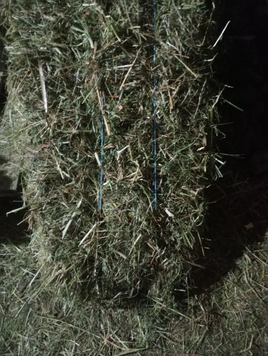 Fan de grădină baloti