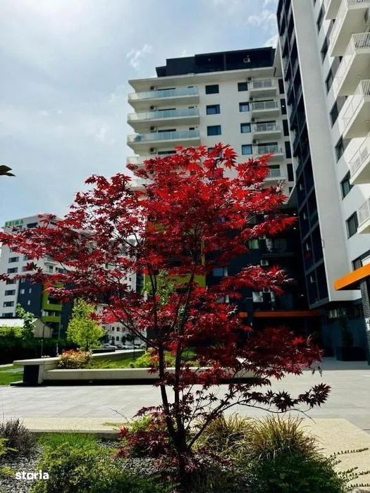 Apartament 2 camere open space în Oradea