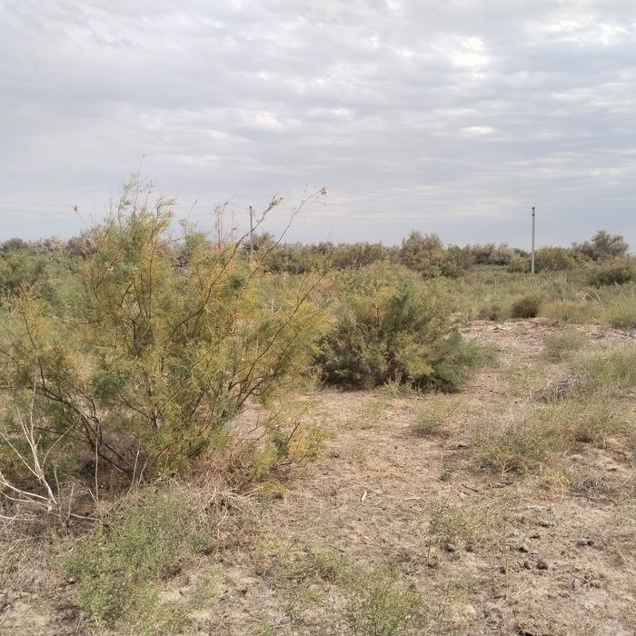 Земельный участок