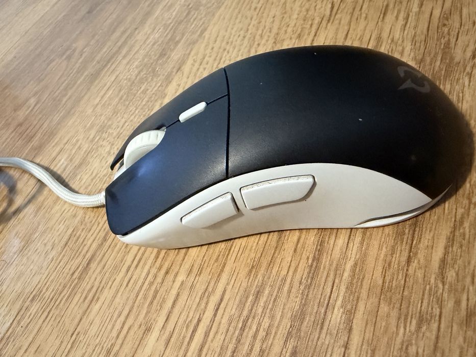 Mouse gaming.