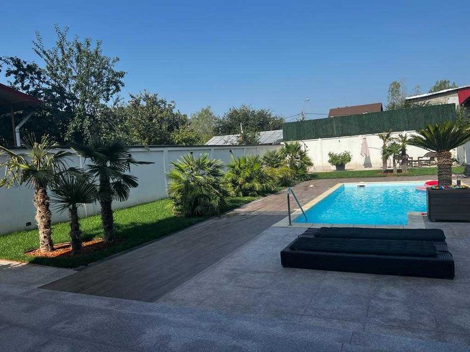 Palmieri rezistenti iarna 1000 disponibili pe stoc livrare rapida toata tara